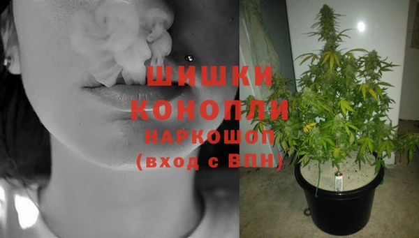 гидра Нефтекумск