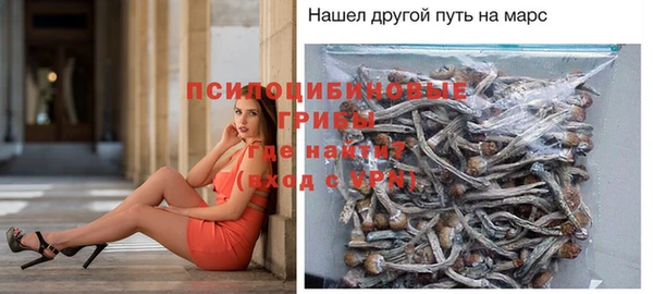 гидра Нефтекумск