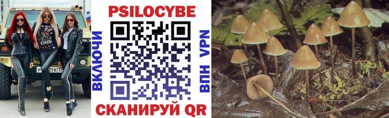 Купить где  Северо-Курильск  Галлюциногенные грибы Psilocybine cubensis 
